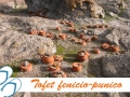 01 - tofet 01 - tofet